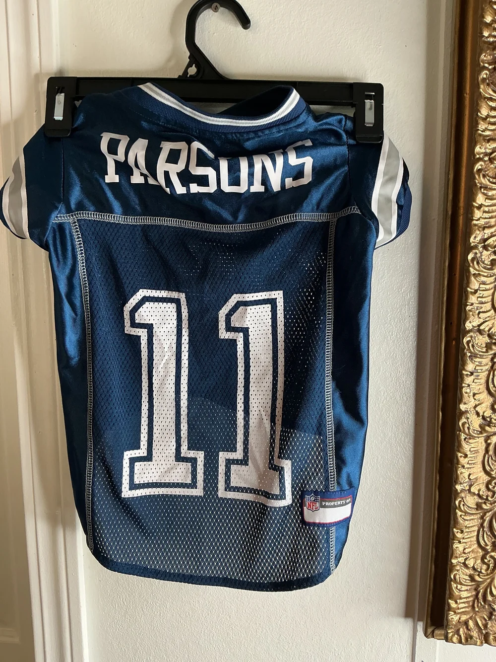 NFL Dallas Navy and White Pet Football Jersey #11